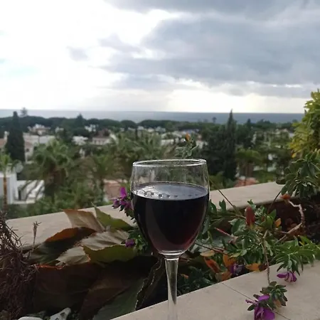 Atico Duplex Guadalpin Apartment